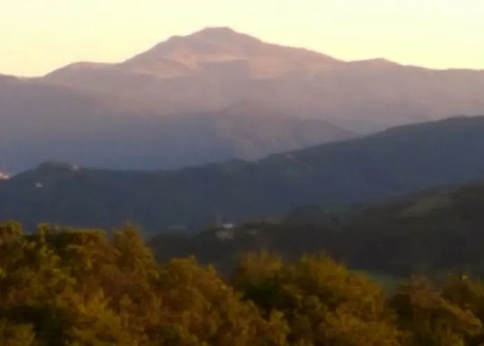 Cimone Bed & Breakfast