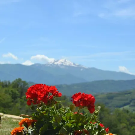 Bed & Breakfast Cimone Polinago