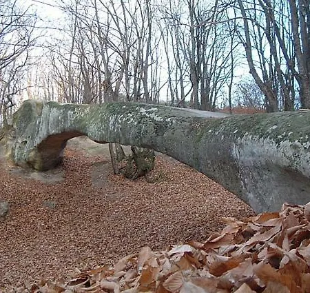Alojamento de Acomodação e Pequeno-almoço Cimone