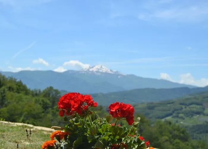 Oda ve Kahvaltı Cimone Polinago