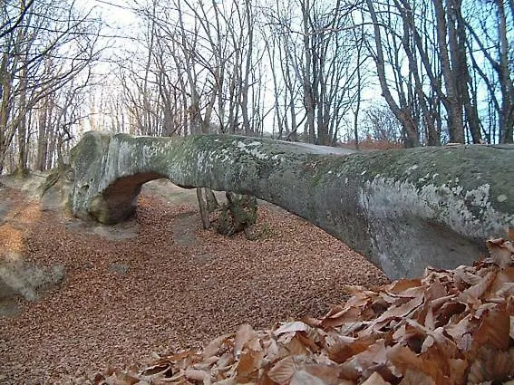 Oda ve Kahvaltı Cimone