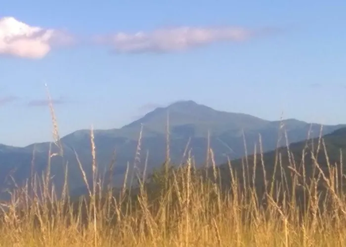 Cimone Oda ve Kahvaltı 3*